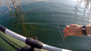 ЩУКА на КРУЖКИ в ЗЛОВЕЩЕМ КОРЯЖНИКЕ