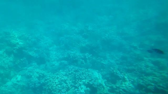 Экскурсия на батискафе в Египте в городе Хургада Артур оператора Sun international и библио глобус смотреть онлайн