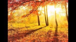 Громкое чтение стихотворения Ивана Бунина "Листопад".