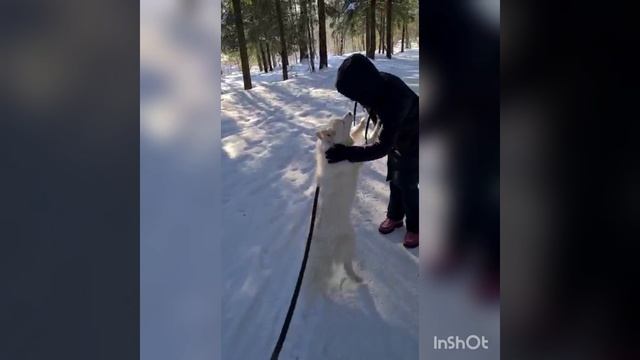 Добро пожаловать в сказку! смотреть онлайн