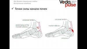Канал Почек, диагностика и методы воздействия