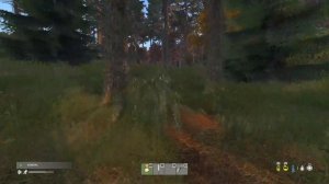 МОЖНО УБЕЖАТЬ ОТ МЕДВЕДЯ ИЛИ НЕТ?DAYZ №2!!!ВЫЖИВАНИЕ В DAYZ,СЕРИЯ№2