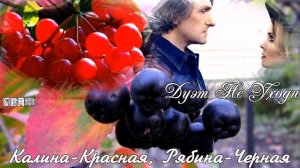 655. Дуэт Не Уходи - Калина Красная, Рябина Черная. НОВИНКИ ШАНСОНА.