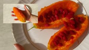 ЧТО ЭТО ЗА ЧУДО-РАСТЕНИЕ//ИНДИЙСКИЙ ОГУРЕЦ//БЕШЕНАЯ ДЫНЯ//ИНДИЙСКИЙ ГРАНАТ/МОМОРДИКА/МЕРСИН//ТУРЦИЯ