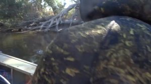 Рыбалка в Астрахани осень 2017