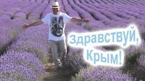 3.Здравствуй, Крым!_Лавандовое поле