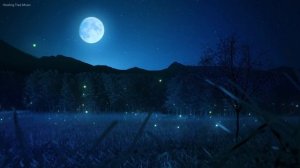 Пианино и сверчки.mp4