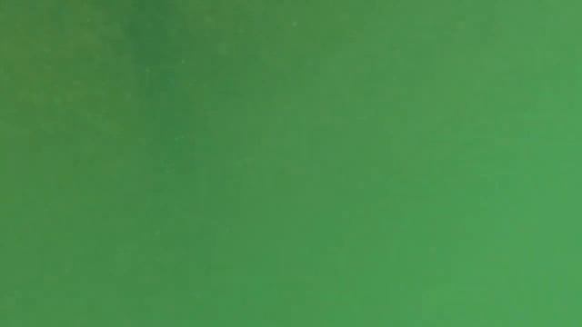 Абхазия 2022 один из пляжей в Новом Афоне смотреть онлайн