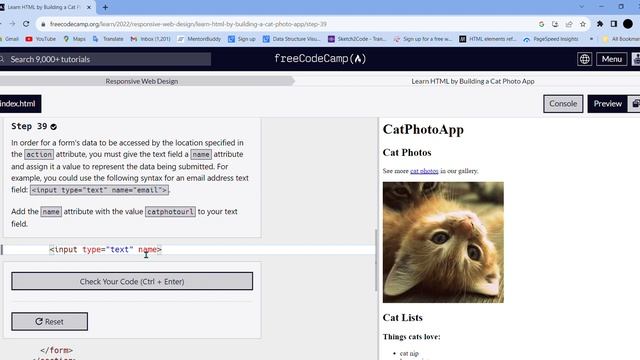 Learn HTML by Building a Cat Photo App Step - 39 || freeCodeCamp смотреть онлайн