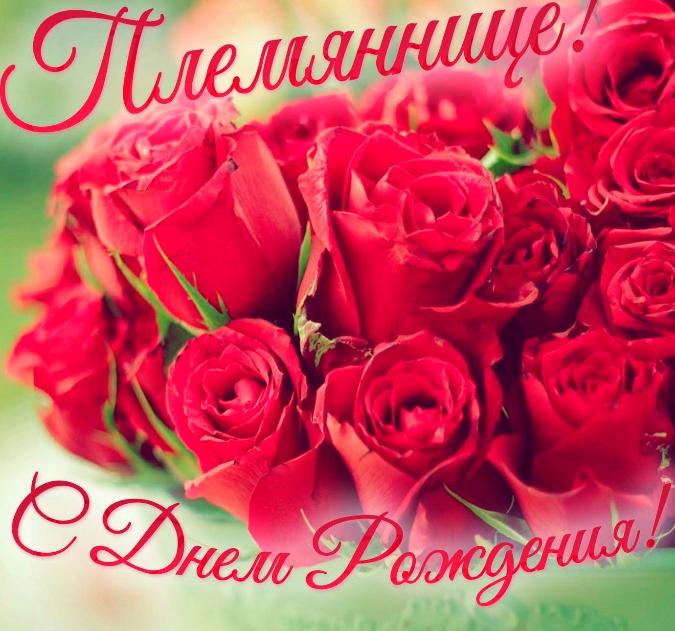 Поздравление моей Любимой Племяннице С ДНЁМ РОЖДЕНИЯ!!!