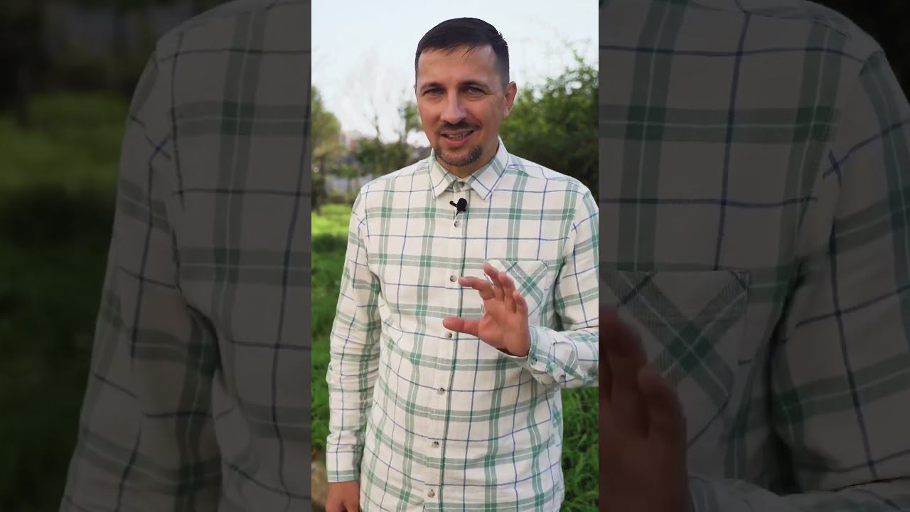 ЖК Familia. Петровский остров. Новый ролик уже на канале смотреть онлайн