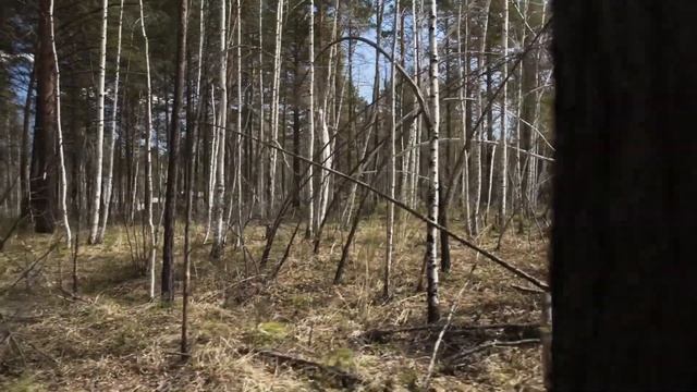 Как построить современный надежный дом в Иркутске?