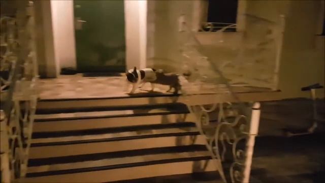 Ночная охота смотреть онлайн