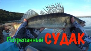Рыбалка на три часа, норма выполнена.Красивые поклёвки СУДАКА. Заряд бодрости и хорошего настроения!