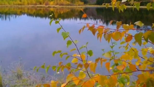 Как утешительны волны твоей качели...#заря #чайки #музыка_андино #озеробайкал