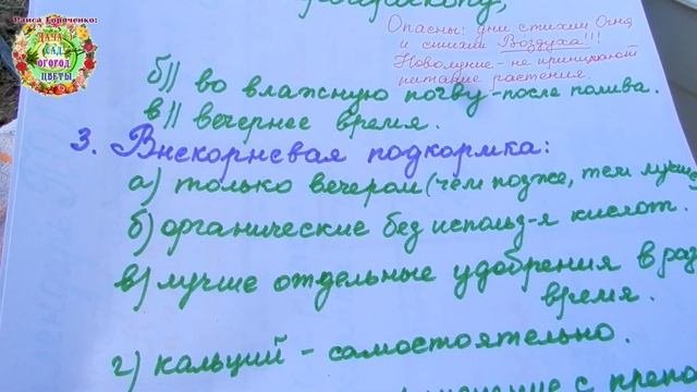 Когда и чем 