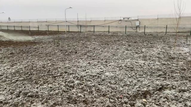 Жидкий газон механическим способом смотреть онлайн