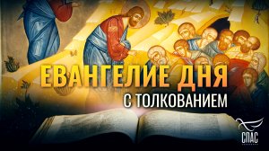 «НАДЛЕЖИТ МНОГО ПОСТРАДАТЬ И БЫТЬ УНИЧИЖЕНУ» / ЕВАНГЕЛИЕ ДНЯ