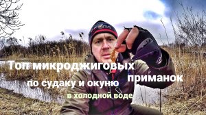 Топ микроджиговых приманок по судаку и окуню в холодной воде.