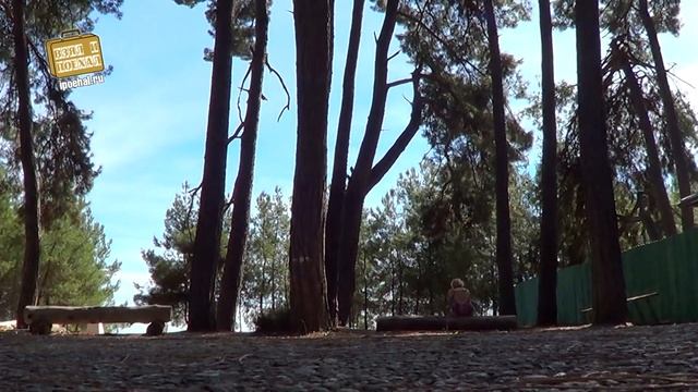 Взял и Поехал! #9 Пицунда, Абхазия. Обзор курорта, пляж и роща смотреть онлайн