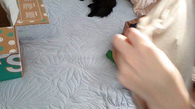 3 образа от стилиста/ стилист за 590 рублей/ Капсульный гардероб #CAPSULA #образотстилиста #капсула смотреть онлайн