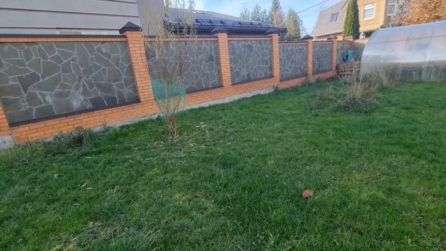 Гуляют ли Камерунские козы в ноль градусов? Профилактика козлику.