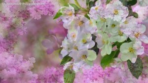 Музыка для души ФОНЫ ВЕСЕННИЕ ФУТАЖИ