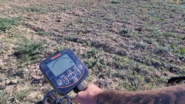 HAZLEWOLKE Z60 ricerca vera metal detector ( SPETTACOLARE )