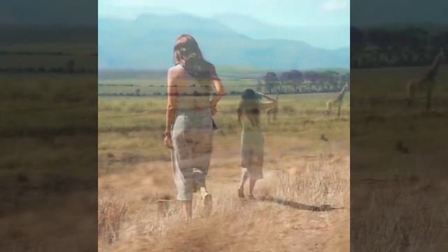 Любопытный жираф в кадре. смотреть онлайн