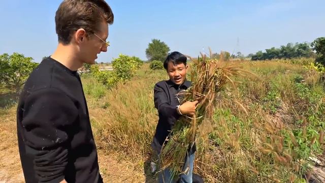 We found a HIVE of ferocious ROYAL BEES 🐝WE WERE BITED ☠️ WE GET HALLUCINOGENIC TROPICAL HONEY смотреть онлайн