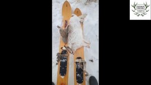 Отзывы и отчеты охотников о дульных устройствах Progress. Часть #15. Купить чок Прогресс.