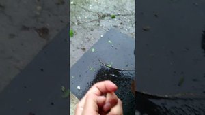 Град в Саратовской области Ершовский район.