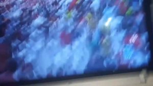 забег быков в Испании испанская коррида очень страшно бегать от быков