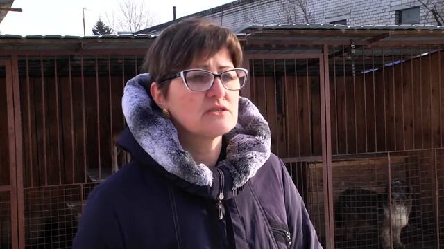 Зоозащитники продолжают борьбу за здоровье питомцев приюта «Дружок»