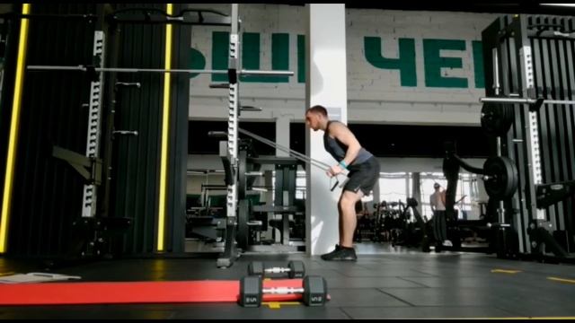 Разгибание рук в наклоне (с использованием эспандера Body Tube) смотреть онлайн