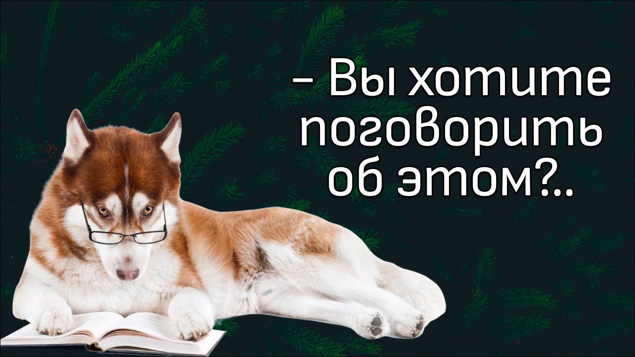 Про перетяжки, собачьи площадки, навязчивое поведение, работа за вкусняжки.