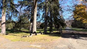 #195 ПОМЕСТЬЕ В РИНГВУДЕ. ОГРОМНОЕ СПАСИБО - САМ СЕБЕ СКАЗАЛ ДЕНИС- !!! ??❤️?