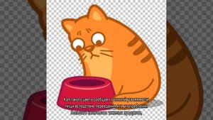 У кота понос - причина и лечение