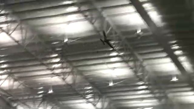 Will's P-47 Phoenix Flight смотреть онлайн