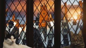 Hogsmeade Window [Sunset] Snowfall ? with Cats - Harry Potter Winter Ambience ? Christmas Music