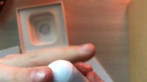 AIRPODS с Wildberries|обзор на наушники