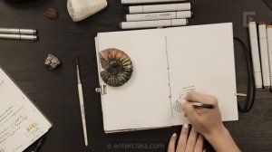 Аммонит. Что такое, кто такой? Рассказывает художница и натуралистка Мария Владимирова