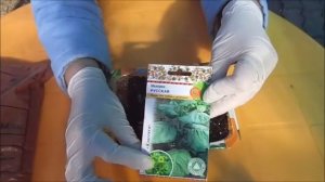 Табачная и махорочная пыль от вредителей