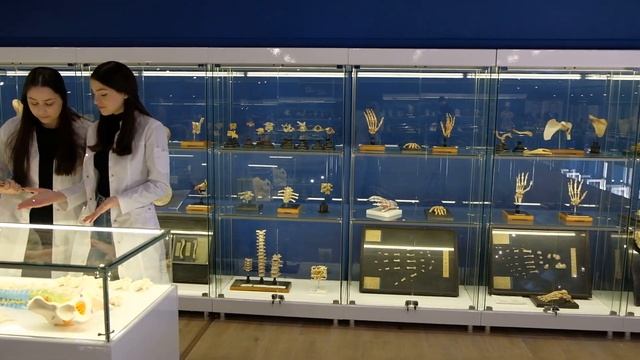 Традиции и качество воспитания студенческой молодежи в ДГМУ смотреть онлайн