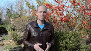 Переезд в Краснодар. Климат Краснодара. Жизнь в Краснодаре. Лучшее место для жизни.