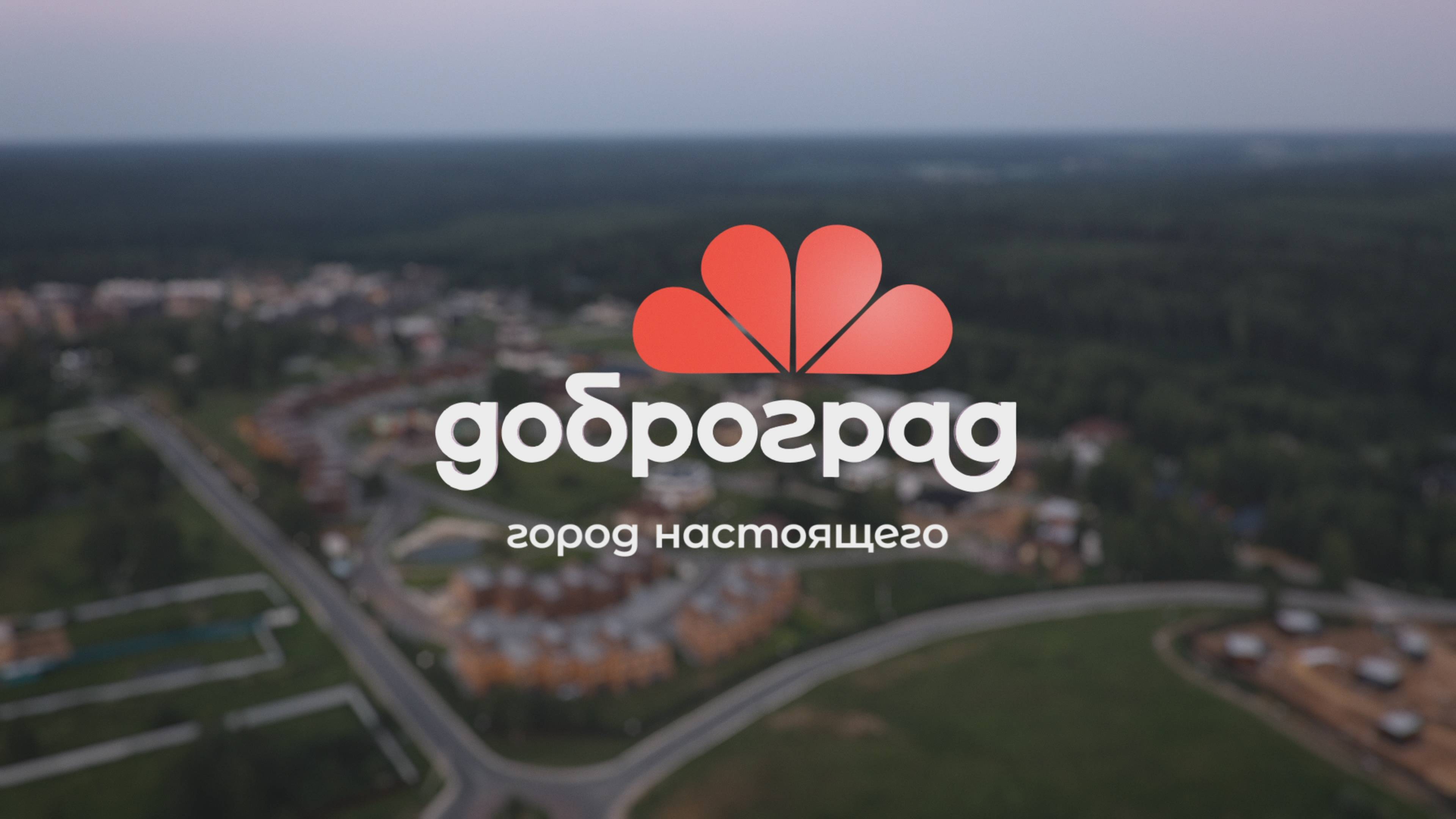 Алла Митрофанова о Доброграде