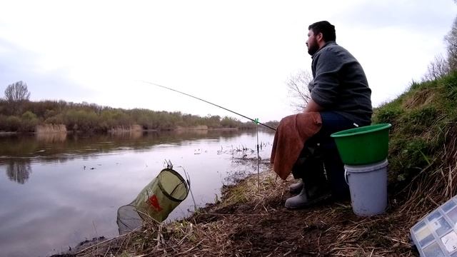 Первая Весенняя Фидерная рыбалка на Реке Дон