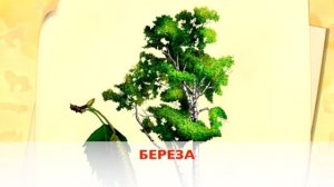 МИР РАСТЕНИЙ (ДЛЯ ДЕТЕЙ)