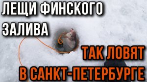 Лещи Финского залива, так ловят в Санкт-Петербурге.