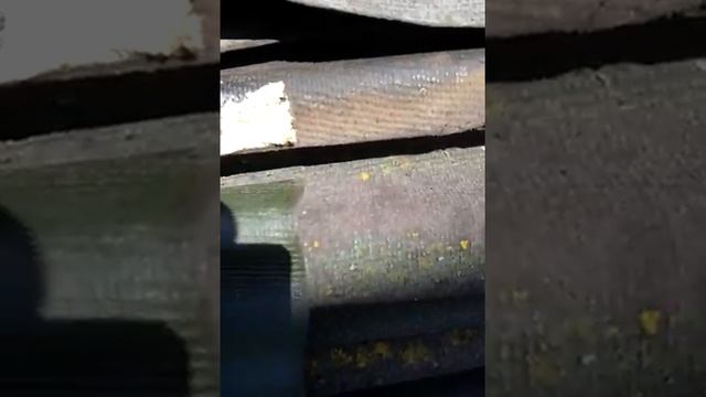 Обзор Ондулина!!! смотреть онлайн